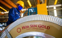 Hoa Sen báo lãi 732 tỷ đồng, vượt xa kế hoạch năm dù doanh thu đi lùi