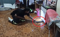 Nhìn xuống gầm kệ, người đàn ông phát hiện cảnh tượng "nổi da gà" giữa đêm