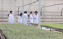 Gia Lai xây dựng kế hoạch đổi mới công nghệ các ngành kinh tế mũi nhọn đến năm 2035