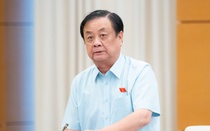 "Không thể coi sang chấn tâm lý sau thiên tai là chuyện nhỏ"