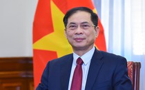 Thành lập BCĐ lễ mở ký Công ước của Liên Hợp Quốc về chống tội phạm mạng