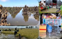 Khi mùa nước nổi không còn là “mùa lộc trời”