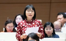 ĐBQH: Chính sách nghỉ thai sản cần hướng đến sự linh hoạt hơn