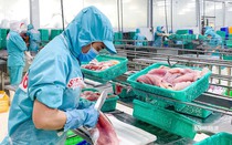 Doanh nghiệp thủy sản bứt phá sau giai đoạn trầm lắng