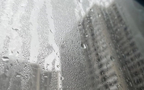 Thời tiết ẩm ướt bất thường ở miền Bắc, chuyên gia cảnh báo nguy cơ dịch bệnh