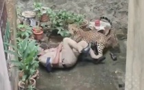 Báo dữ vồ ngã cảnh sát và diễn biến gay cấn phía sau