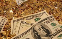 Tỷ giá USD, lãi suất ngày 11/11: Đồng bạc xanh tăng nhẹ