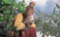 Tại sao Tôn Ngộ Không chỉ dám cắn một miếng đào tiên?