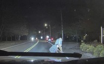 Thấy tiền mặt rơi khắp đường, người đàn ông lao ra nhặt