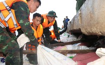 Đà Nẵng: Gần 10.000 cán bộ, chiến sĩ “căng mình” chuẩn bị đón siêu bão số 13