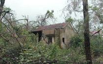 Hoang tàn “thiên đường” bên bãi biển nổi tiếng Hà Tĩnh