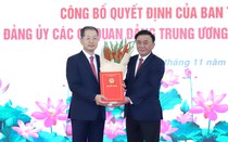 Ông Nguyễn Văn Quảng giữ chức Bí thư Đảng ủy Tòa án nhân dân tối cao