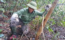 Hành trình vào rừng sâu gỡ "bẫy tử thần" giải cứu động vật hoang dã