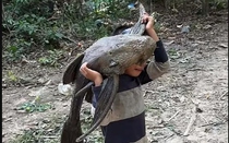 Bắt được "quái vật" khổng lồ, bé trai gây sốc khi vác đi khắp làng