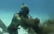 Kinh hoàng cảnh bạch tuộc tấn công thợ lặn ở ngoài khơi nước Nga