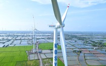 Loạt doanh nghiệp bị xử phạt thuế