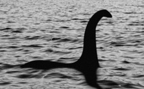 Người phụ nữ phát hiện sinh vật bí ẩn, nghi là quái vật hồ Loch Ness huyền thoại