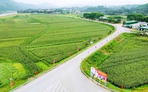 Hà Tĩnh sẽ có bao nhiêu đơn vị cấp xã không sáp nhập?