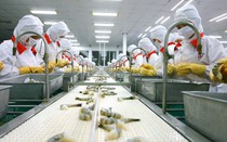 Mỹ áp thuế 46%, doanh nghiệp Việt cần ứng phó ra sao?