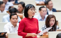 "Không thể phát hiện người tài bằng hồ sơ, bằng cấp, hay qua kỳ thi hình thức"