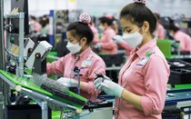 Bộ GD&ĐT siết yêu cầu chuẩn đầu vào tuyển sinh ngành vi mạch bán dẫn