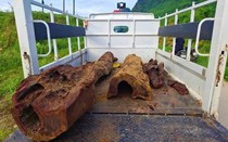 Vụ phát hiện gỗ dưới lòng sông: Giám định có phải sưa quý hiếm không?