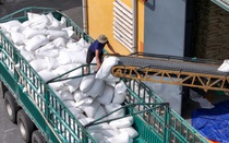 Doanh nghiệp ngành gạo ngụp lặn trong thua lỗ quý I/2025