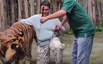 Hổ tấn công du khách, làm dấy lên tranh luận gay gắt trên mạng xã hội