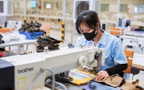Gam màu sáng tối trong bức tranh xuất khẩu Hà Tĩnh