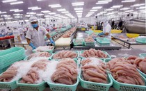 Bộ NN&MT: Vụ C.P Việt Nam đã xử lý cán bộ vi phạm