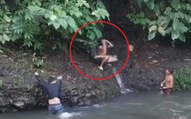 Ngồi trên bờ suối, nam thanh niên bị thứ đáng sợ lao ra tấn công