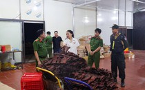 Khởi tố nữ giám đốc “biến” hàng nghìn tấn thịt trâu Ấn Độ thành trâu gác bếp Hà Giang