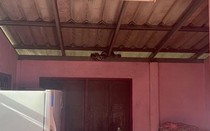 Chứng kiến cảnh tượng kinh hoàng trong bếp, cụ bà 74 tuổi sợ hãi đến mất ngủ