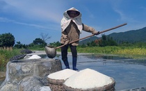 Diêm dân miệt mài giữa nắng đỉnh điểm, thu nhập vỏn vẹn 200.000 đồng mỗi ngày