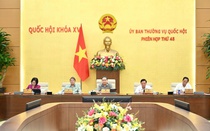 "Giám sát không cần phải đi những đoàn dềnh dang, rầm rộ"