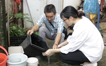 "Thủ phạm" quen mặt quanh sân nhà và nỗi lo dịch mới