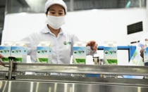 Quý chật vật của ngành sữa và ngoại lệ mang tên Mộc Châu Milk