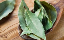 Loại lá ở Việt Nam nhiều người cho nhau miễn phí, ra nước ngoài giá 2 triệu đồng/kg