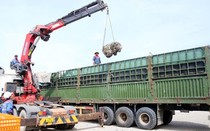 Cận cảnh xe chở vượt tải trọng 429% bị phạt 333 triệu đồng