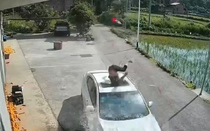 Ngã khỏi mái nhà, người đàn ông rơi trúng ô tô và cái kết
