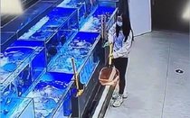 Cô gái giẫm chết 2 con cá sống trong siêu thị để mua giá ưu đãi