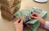 Bộ Nội vụ đề xuất chế độ lương, thưởng đối với chuyên gia