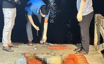 Phát hiện thi thể không nguyên vẹn trôi dạt trên biển
