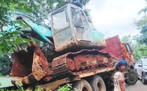 Gia Lai: Xe tải bất ngờ mất phanh tông chết 18 con bò của người dân