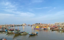 Ninh Bình cấm tàu thuyền ra khơi từ 7h ngày 24/8 ứng phó bão số 5