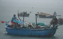 Đà Nẵng phát công điện khẩn ứng phó bão số 5