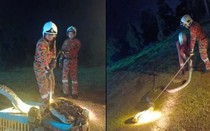 Kiểm tra chuồng gà, người đàn ông chứng kiến cảnh tượng rợn tóc gáy