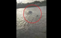 Ô tô lao xuống kênh, người dân đập cửa cứu 2 vợ chồng mắc kẹt