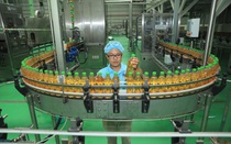 Hợp tác quốc tế tạo giá trị đột phá cho Trà Xanh Không Độ