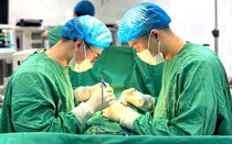 Bé trai 6 tuổi bị chó cắn tổn thương vùng kín